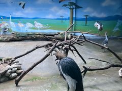 -济南野生动物世界