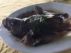 清蒸青斑-淇沙湾渔村餐厅