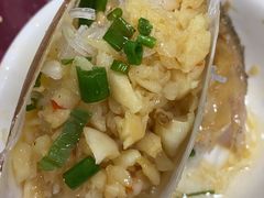象拔蚌-岛中岛·海鲜大排档·万宁老字号(东澳店)