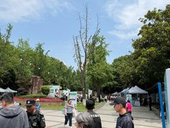 -苏州河梦清园环保主题公园