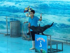 -西安秦岭野生动物园