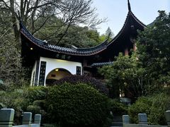 -十八棵（老龙井）御茶园(老龙井店)