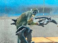 -青藏高原野生动物园