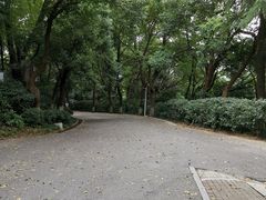 -北极阁公园