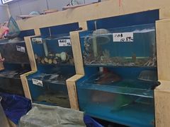 -胶东海鲜大排档(北太平庄店)