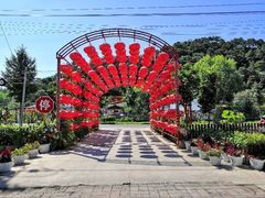 -龙福源密云水库灶台鱼