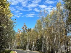 -五营红松林海景区