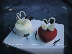 -BLACKSWAN黑天鹅(新希望店)