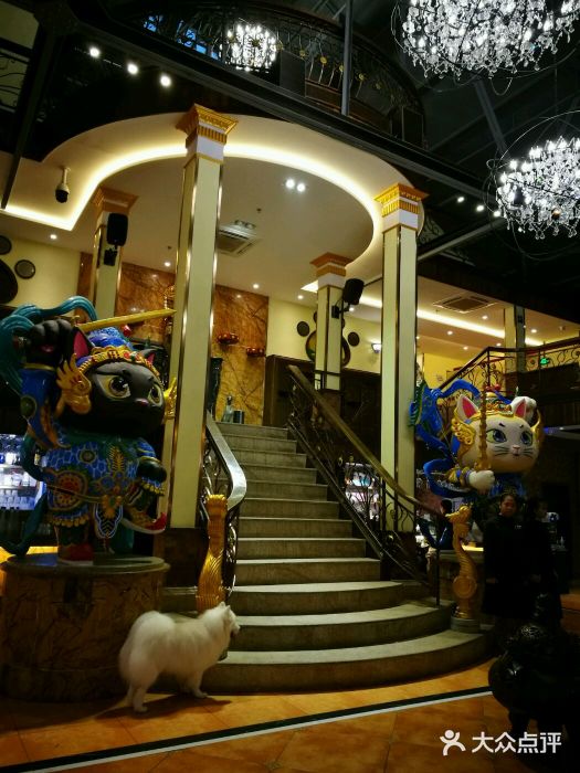more than meow吴止猫主题餐厅(承德 中船汇店)门面图片