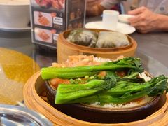 -东方御宴海鲜酒楼(棕泉酒店)