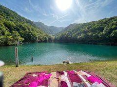 -龙坞茶村