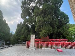 -四门塔风景区
