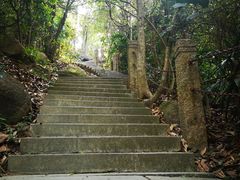 -深圳国际园林花卉博览园