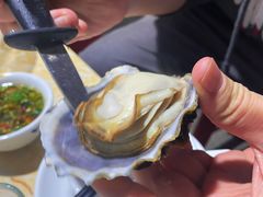-广味炭炉鸡煲(宝业路分店)