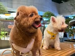 -星巴克(南宁华润幸福里店)
