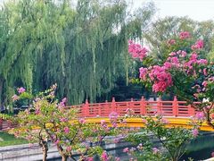 -元大都城垣遗址公园