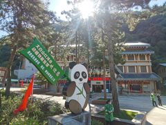 -陕西省红河谷森林公园