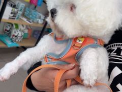 -佳雯宠物医院·皮肤科·内外科(春晓路分院)