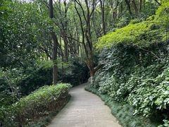 -杭州半山国家森林公园