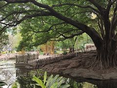 -晓港公园