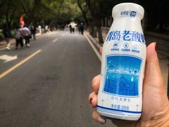 -八大关景区