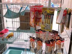 -中农国际动物医院24小时·猫科·骨科·急重症中心