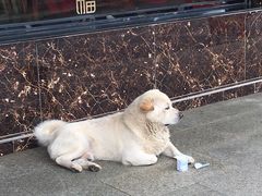 -老虎土菜馆·农家土菜