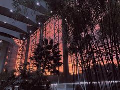 -吉林大学(前卫南区)