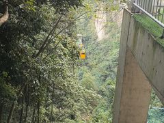 -龙湾潭国家森林公园