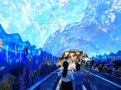 -成都浩海立方海洋公园