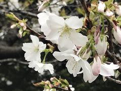 -中山公园