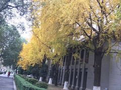 -四川大学(华西校区)