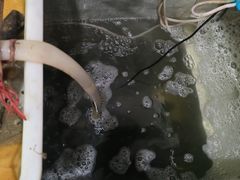 -金三可市井水煮鱼(金碧园店)