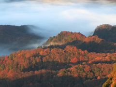 -光雾山旅游景区
