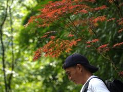 -西岭雪山大飞水景区