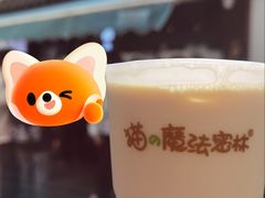 -猫的魔法密林(衣裳街店)