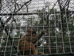 -北京鹿世界主题园