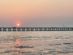 -宝安西湾红树林湿地公园