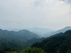 -大岭沟猕猴桃谷风景区