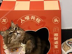 -鱼上·烤鱼(万象城店)