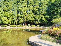 -庐山风景区花径公园