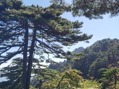 -黄山风景区