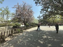 -丰台花园