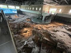 -自贡恐龙博物馆