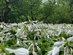 -长辛店二七公园