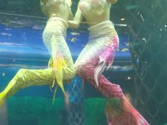 -瑞德姆美人鱼海底演艺主题餐厅(亚龙湾店)