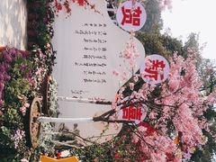 -南山植物园