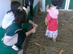 android_upload_pic-乐融婴幼儿成长中心(四季青校区)