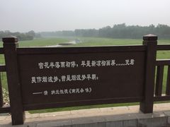 -北京麋鹿生态实验中心