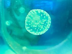 -常州海昌海洋探索馆